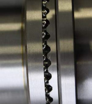 hoffman01